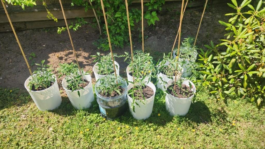 Gardening