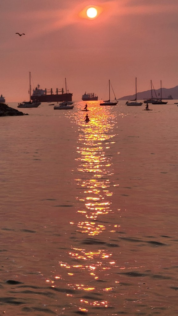 Sunset over the water with ships and paddleboarders