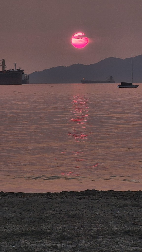 Pink sunset over calm water with silhouetted ships
