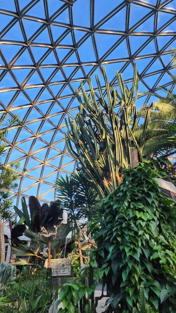 Tropical plants and a geodesic glass dome conservatory